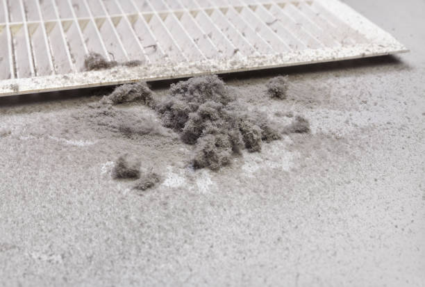 Best Dryer Vent Cleaning Services  in Vega, TX