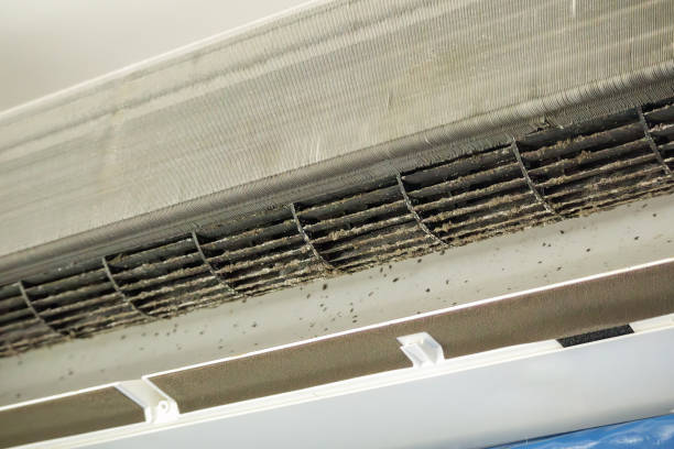 Best Affordable Duct Cleaning Services  in Vega, TX