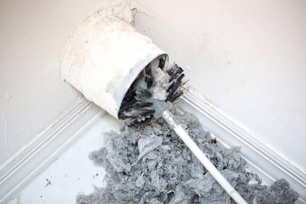 Best Dryer Vent Cleaning Services  in Vega, TX